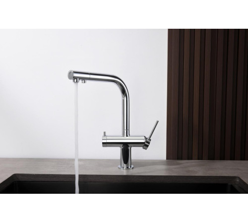 Смеситель для кухни Aquanet Европа под фильтр хром AQ1385CR