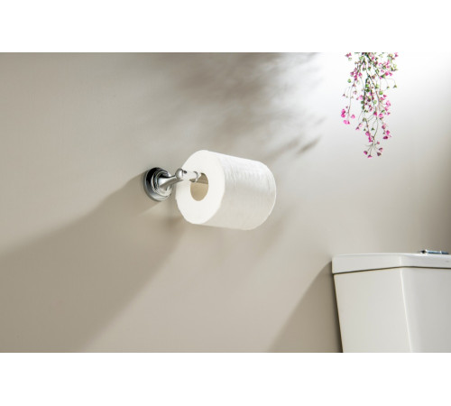 Держатель для туалетной бумаги Aquatek Классик AQ4508CR