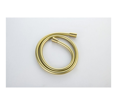 Шланг для душа Aquanet 120 см ПВХ шлифованное золото AQ2104BG