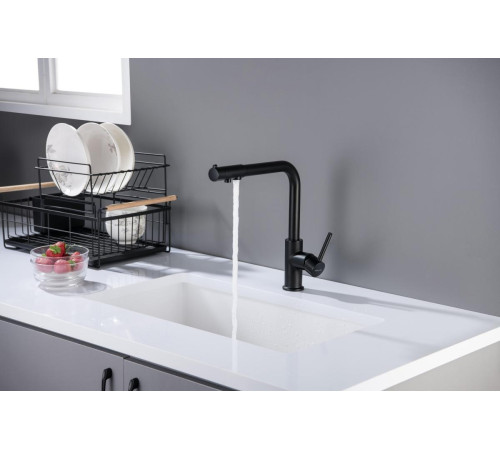 Смеситель для кухни Aquanet Европа под фильтр матовый черный AQ1386MB