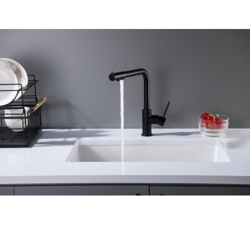 Смеситель для кухни Aquanet Европа под фильтр матовый черный AQ1386MB