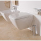 Сиденье для унитаза Laufen Palace Soft Close 8.9170.1.300.000.1