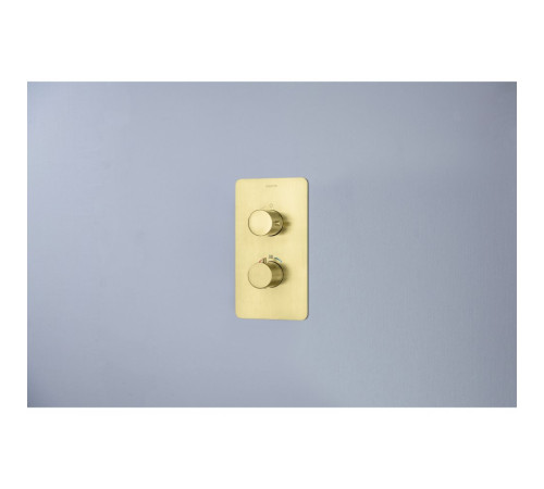 Смеситель для душа термостатический Aquanet Европа скрытого монтажа шлифованное золото AQ1391BG