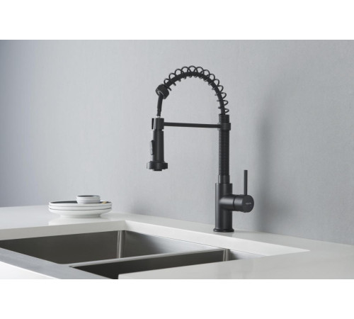 Смеситель для кухни Aquanet Европа профессиональный 2 jet матовый черный AQ1387MB