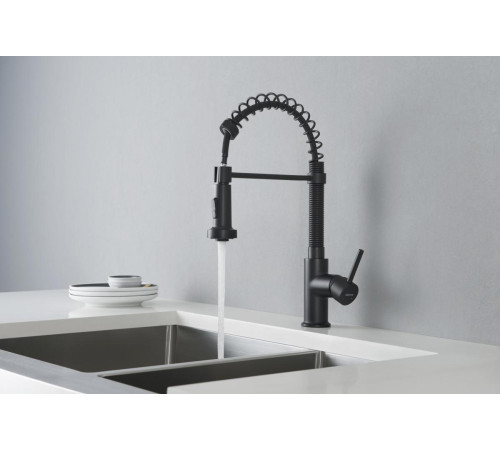 Смеситель для кухни Aquanet Европа профессиональный 2 jet матовый черный AQ1387MB