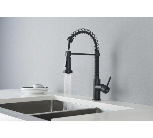 Смеситель для кухни Aquanet Европа профессиональный 2 jet матовый черный AQ1387MB