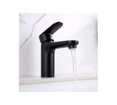 Смеситель для раковины Aquanet Ника с гигиеническим душем матовый черный AQ1812MB