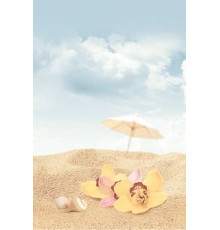 Декор Дельта Керамика Cocktail D3 20х30 см D3D140