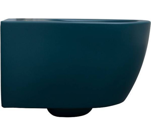Унитаз подвесной Allen Brau Fantasy 36.3x51x40 см зеленый 4.11004.PT