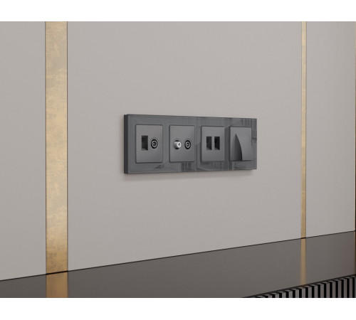 Накладка для розетки RJ-11 или RJ-45 Ambrella Volt ALFA AP6621