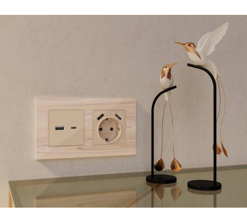 Розетка 2хUSB type A и C без рамки Ambrella Volt Quant MA311010