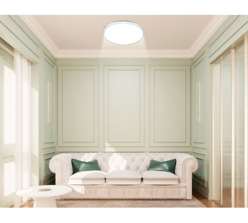 Накладной светильник Ambrella Light FZ1701