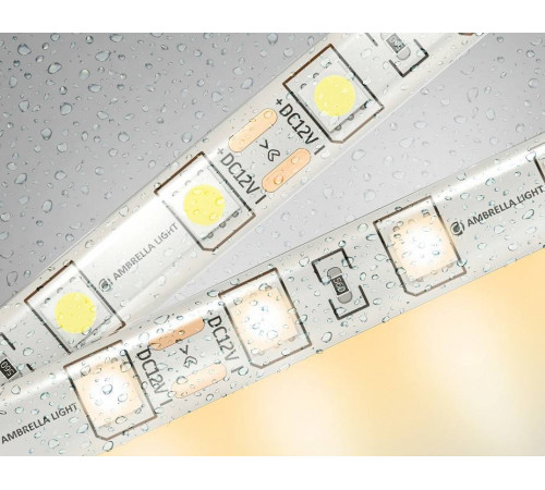 Лента светодиодная Ambrella light GS GS2101