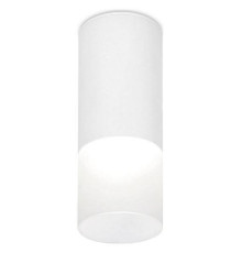 Накладной светильник Ambrella Light TN TN230