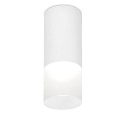 Накладной светильник Ambrella Light TN TN230