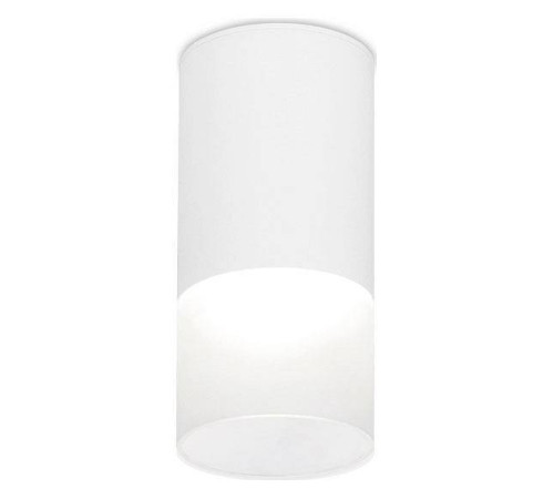 Накладной светильник Ambrella Light TN TN231