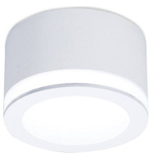 Накладной светильник Ambrella light TN TN265
