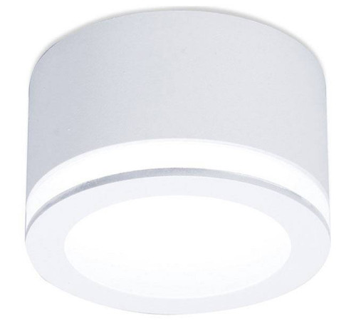 Накладной светильник Ambrella light TN TN265
