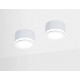 Накладной светильник Ambrella light TN TN265