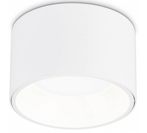 Накладной светильник Ambrella Light TN TN52892