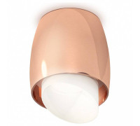 Накладной светильник Ambrella Light XS XS1144021