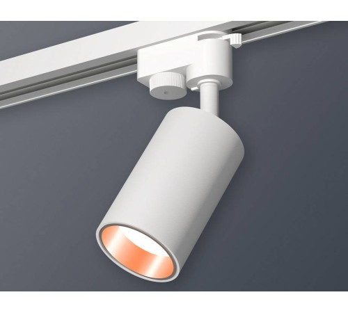 Светильник на штанге Ambrella Light XT XT6322024