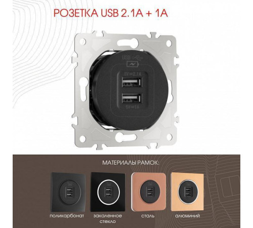 Розетка USB, без рамки Arte Milano am-202 202.46-1.black