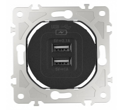 Розетка USB, без рамки Arte Milano am-202 202.46-1.black