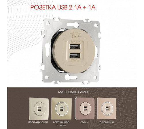 Розетка USB, без рамки Arte Milano am-202 202.46-1.shampan