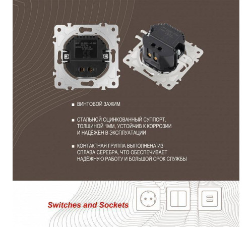 Розетка USB, без рамки Arte Milano am-202 202.46-1.shampan