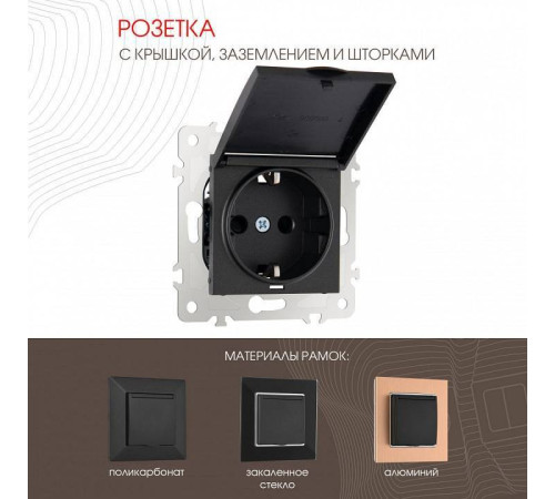Розетка влагозащищенная с заземлением и со шторкой с крышкой Arte Milano am-203 203.41-1.black