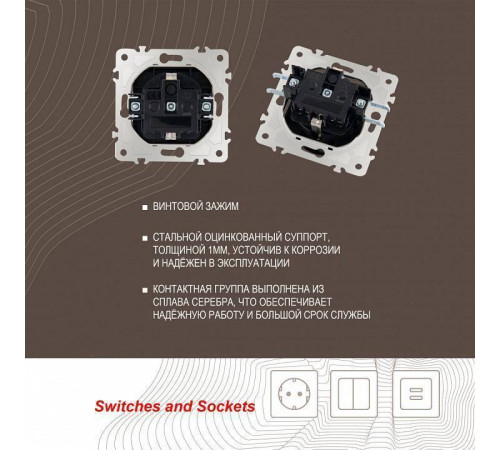 Розетка влагозащищенная с заземлением и со шторкой с крышкой Arte Milano am-203 203.41-1.black
