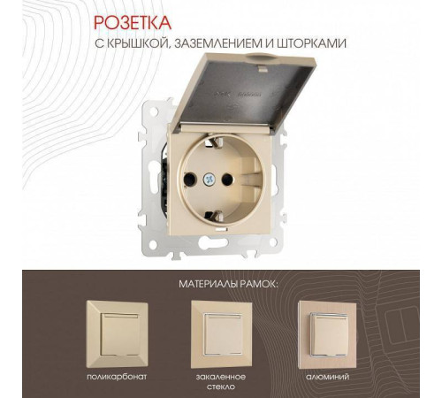 Розетка влагозащищенная с заземлением и со шторкой с крышкой Arte Milano am-203 203.41-1.shampan