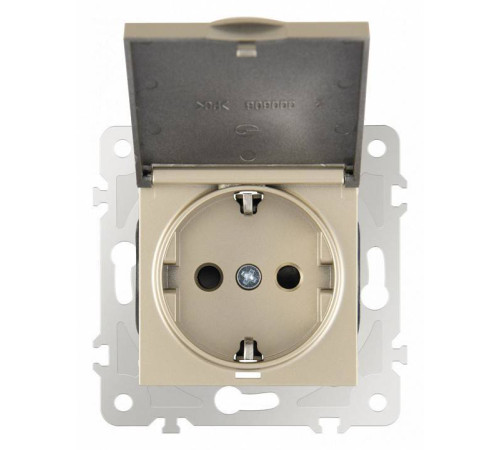 Розетка влагозащищенная с заземлением и со шторкой с крышкой Arte Milano am-203 203.41-1.shampan