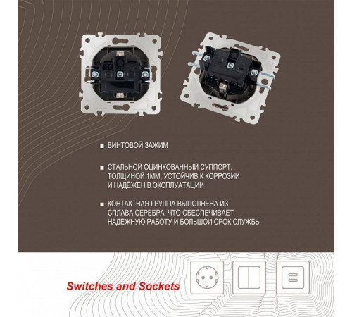 Розетка влагозащищенная с заземлением и со шторкой с крышкой Arte Milano am-203 203.41-1.shampan