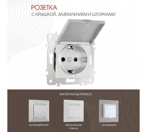 Розетка влагозащищенная с заземлением и со шторкой с крышкой Arte Milano am-203 203.41-1.silver