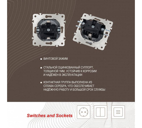 Розетка влагозащищенная с заземлением и со шторкой с крышкой Arte Milano am-203 203.41-1.silver