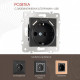 Розетка с заземлением и со шторкой и 2хUSB, без рамки Arte Milano am-203 203.47-1.black