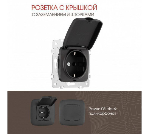 Розетка влагозащищенная с заземлением и со шторкой с крышкой Arte Milano am-205 205.41-1.black