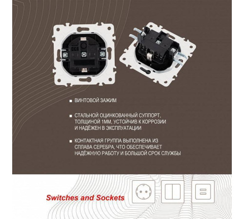 Розетка влагозащищенная с заземлением и со шторкой с крышкой Arte Milano am-205 205.41-1.black