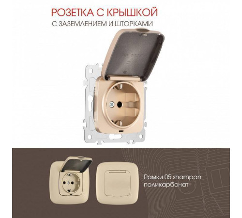 Розетка влагозащищенная с заземлением и со шторкой с крышкой Arte Milano am-205 205.41-1.shampan