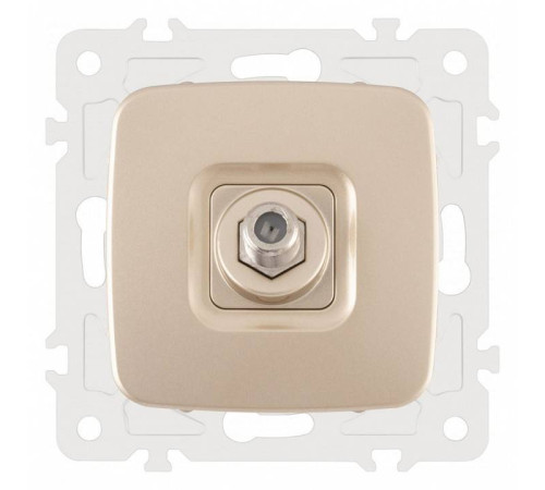 ТВ-розетка без рамки Arte Milano am-205 205.42-1.shampan