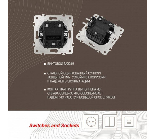 Выключатель двухклавишный без рамки Arte Milano 206 206.30-2.shampan