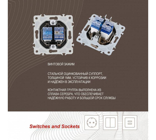 Розетка двойная RJ-11 и Ethernet RJ-45, без рамки Arte Milano am-206 206.44-1.shampan