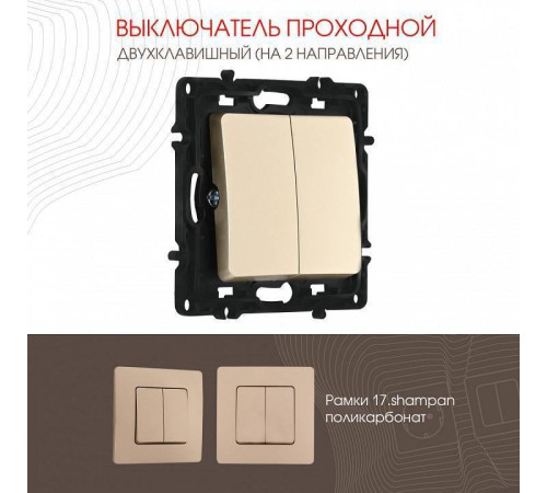 Выключатель проходной двухклавишный без рамки Arte Milano 217 217.32-2.shampan