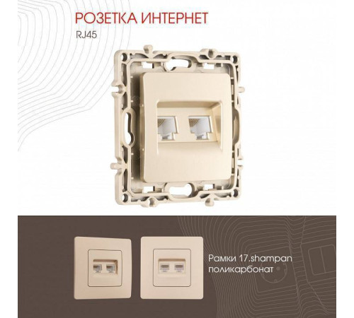 Розетка Ethernet RJ-45 без рамки Arte Milano am-217 217.45-2.shampan
