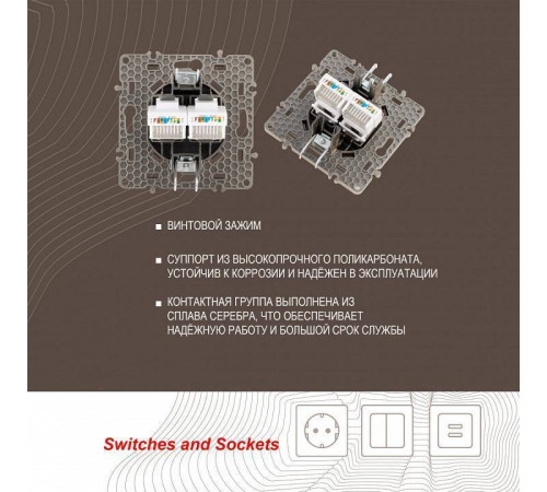 Розетка Ethernet RJ-45 без рамки Arte Milano am-217 217.45-2.shampan