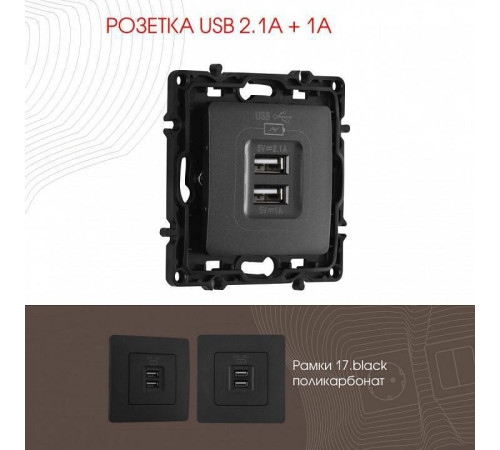Розетка USB, без рамки Arte Milano am-217 217.46-1.black