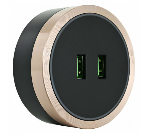 Розетка 2xUSB на треке Arte Milano Am-track-sockets 380066TS LED/USBx2 Gold