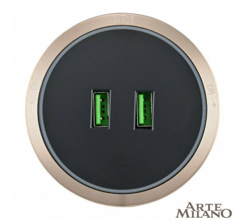 Розетка 2xUSB на треке Arte Milano Am-track-sockets 380066TS LED/USBx2 Gold
